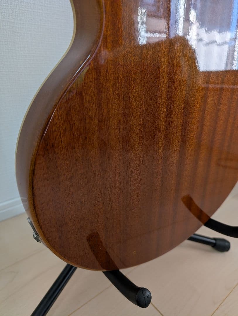 Epiphone Wildkat エピフォン　ワイルドキャット　ビグスビ―付