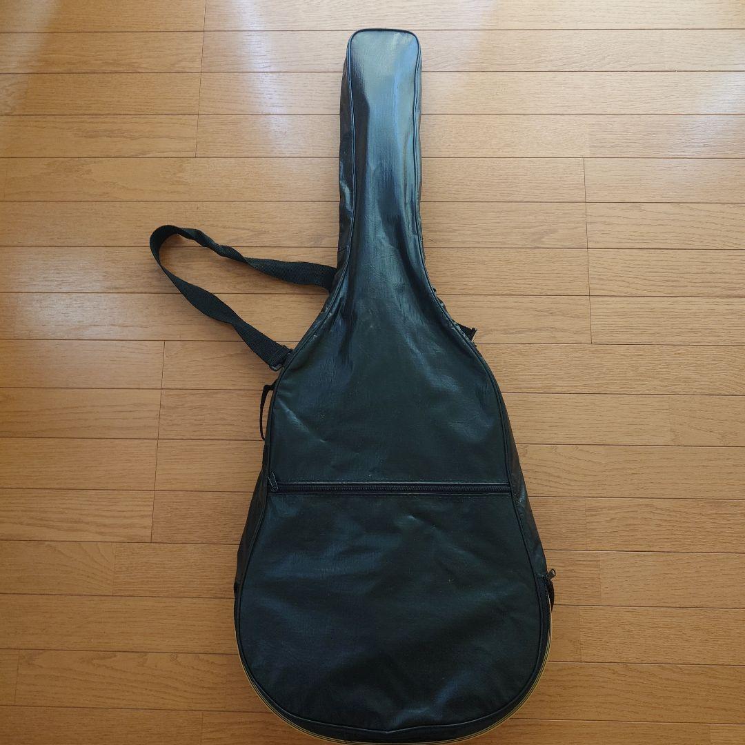 エレアコースティックギター プロマーチン