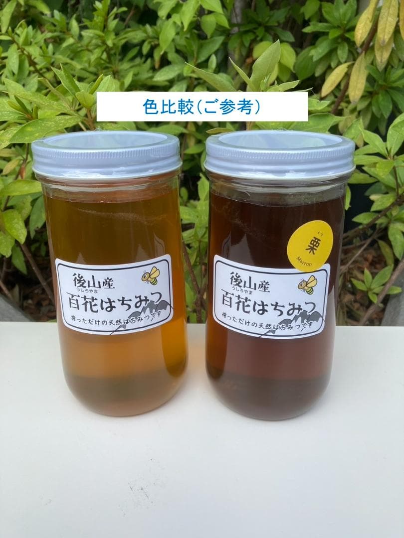 【初出】山栗 百花蜜 1000g 2本 信州産 セイヨウ蜜蜂 栗蜜 国産蜂蜜