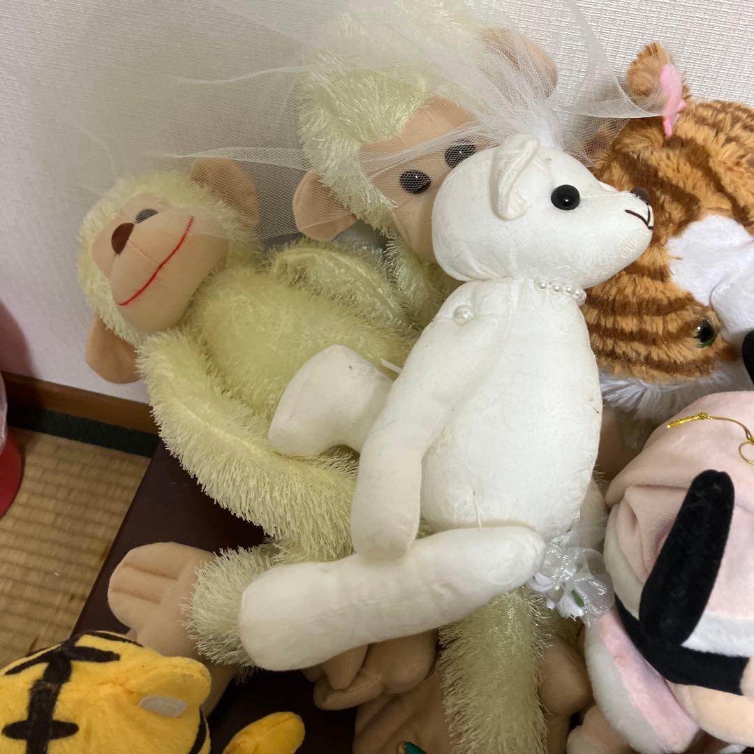 ぬいぐるみ50個