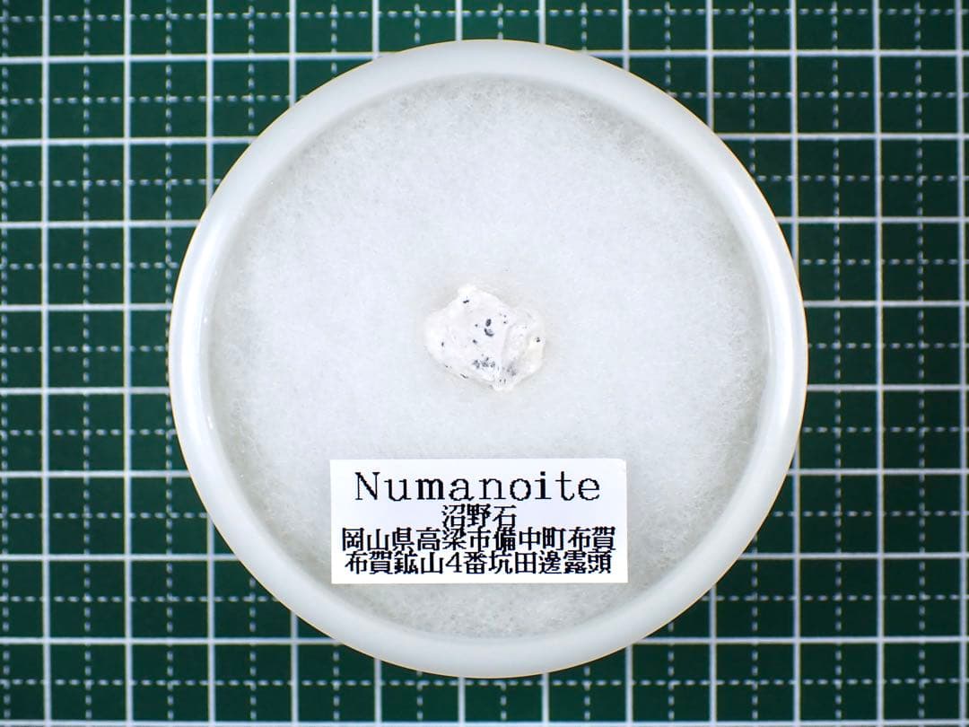 沼野石(TL) 布賀鉱山