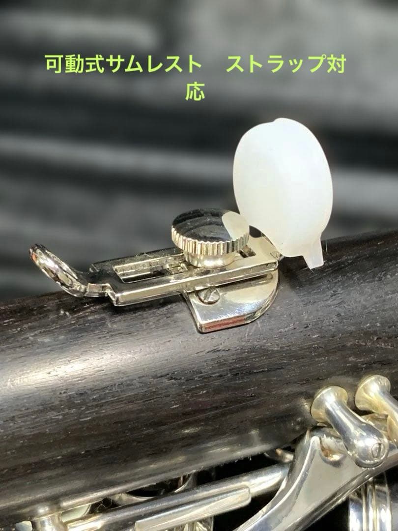 総メンテナンス済みR13最上位機種と同仕様　試奏確認済み　ケースPROTEC