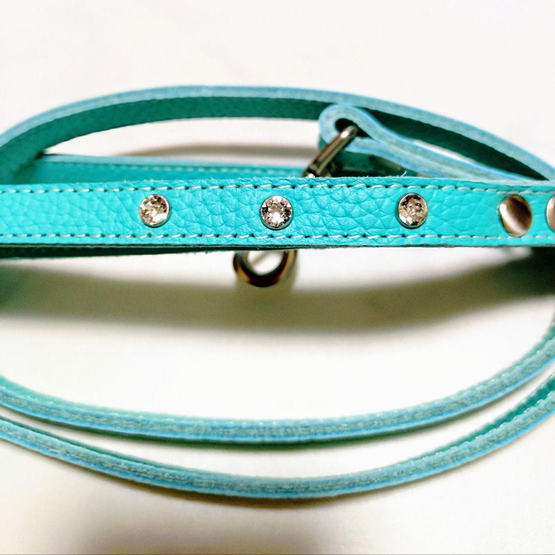 バディーベルト　2点セット ハーネス・リード BUDDYBELT