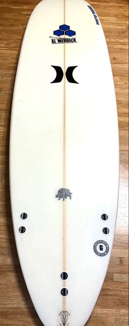 チャンネルアイランドChannel sアルメリック WATERHOG