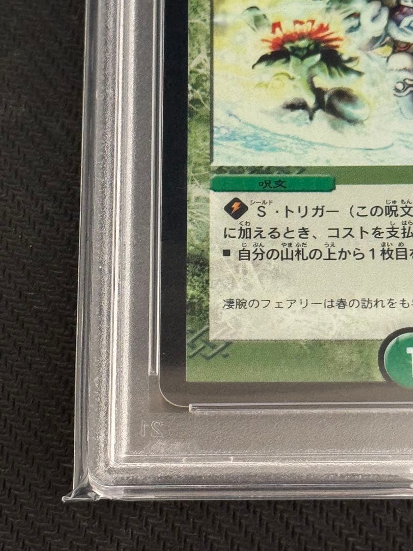 フェアリーライフ　プロモ　PSA9