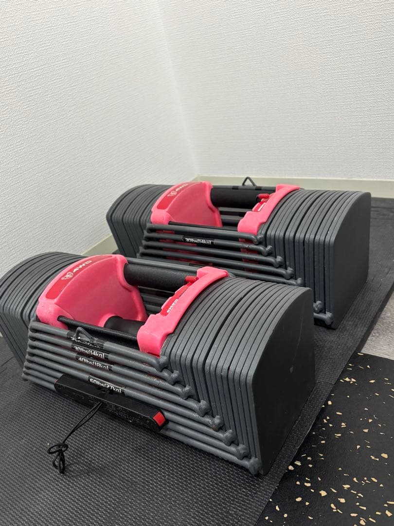 【引取専用愛知県】7/20まで掲載予定　ホームジムセット