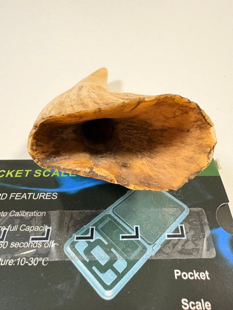 【⭐️希少⭐️】鯨の歯 マッコウクジラ 重量約259.5g