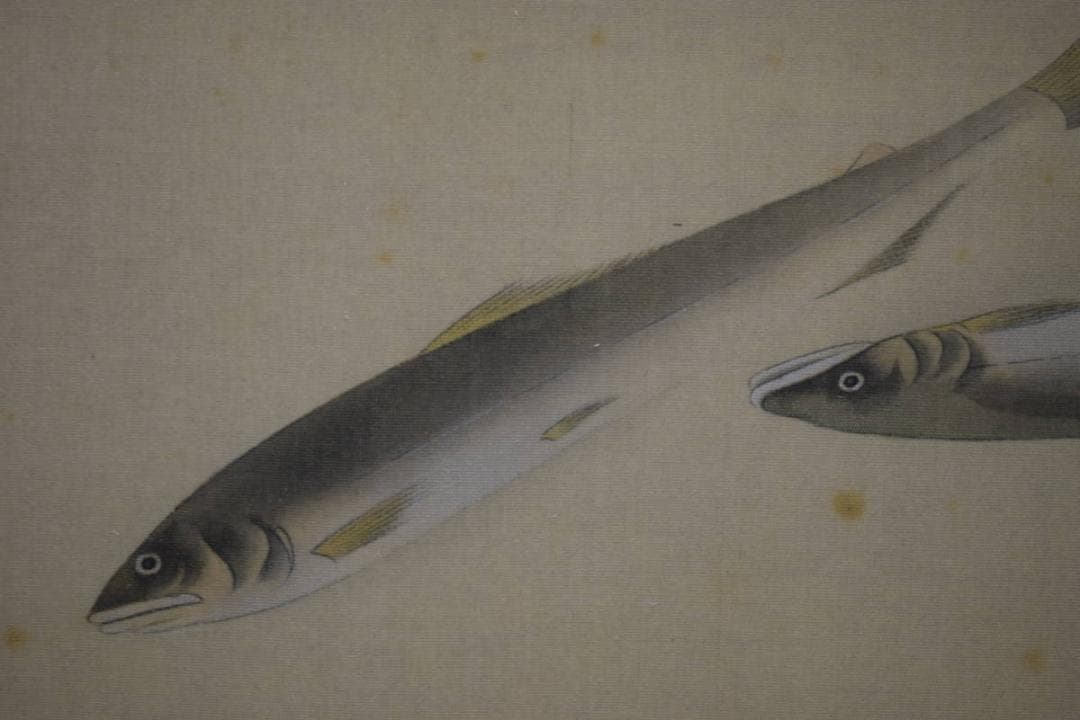 複製/速水御舟/鮎図/工芸/布袋屋掛軸HI-308