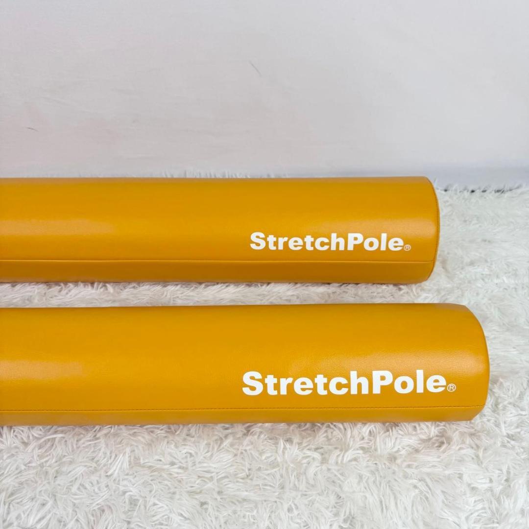 【美品】LPN ストレッチポール EX MX セット エクササイズ 812-1