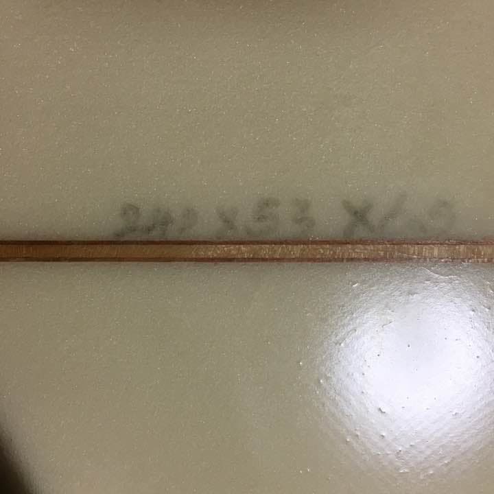 サーフボード、スイカみたいですがかなり気に入ってました。