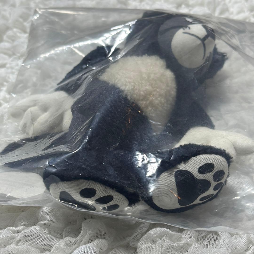 限定品 花井祐介× ACME Furniture コラボ STUFFED CAT