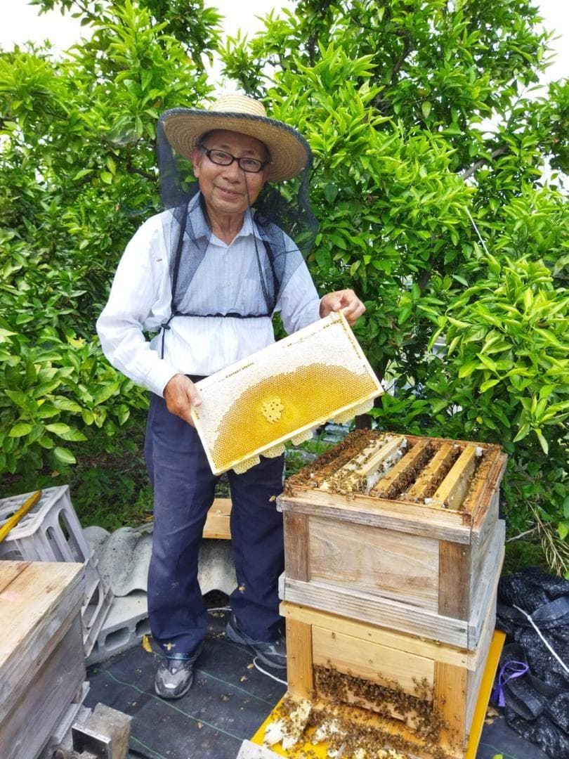 はちみつ　特別セット　350ｇパック8本　おまけ卓上用プラボトル2本