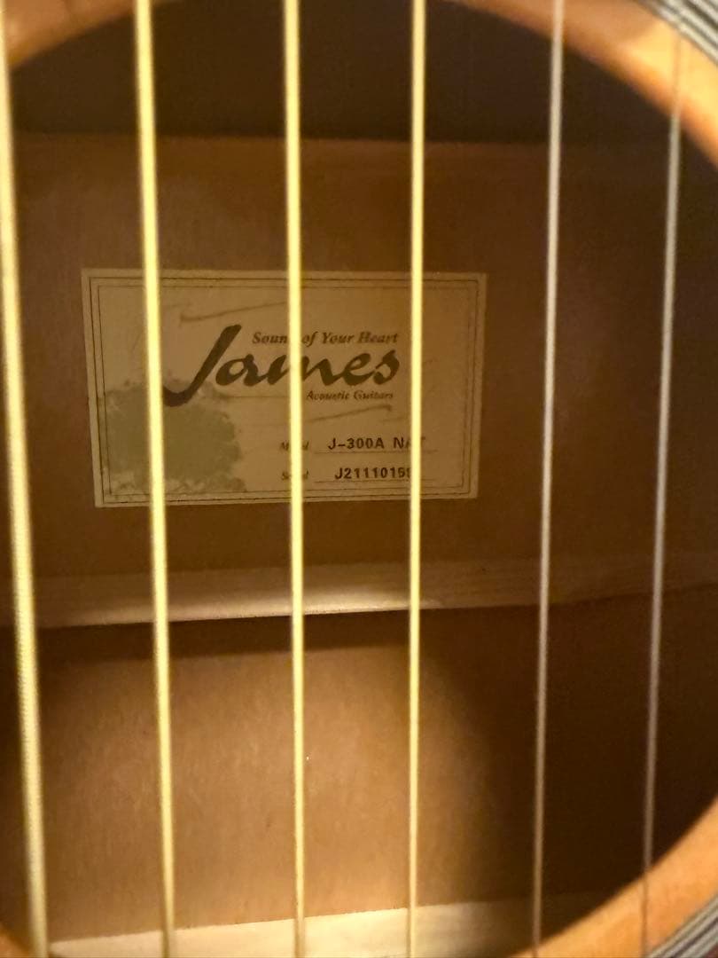 James ギター アコギ J-300A NAT