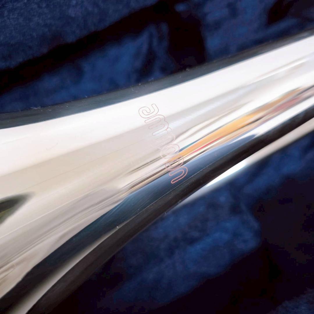 ammoon トロンボーン 本体 ケース付き