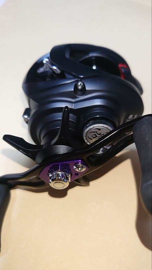 ダイワ 19タトゥーラ TW 100XHL