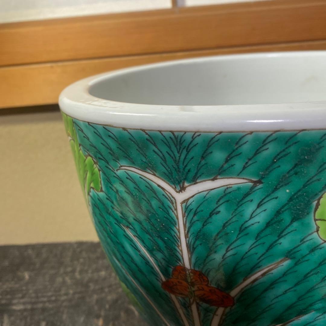 中国古玩　春白菜図水蓮鉢