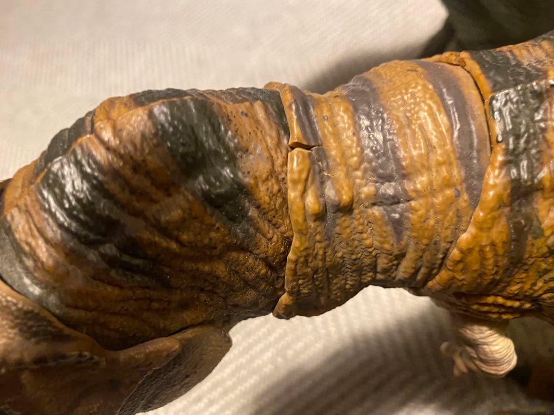 ハモンドコレクション　ティラノサウルス マテル　アパトサウルス