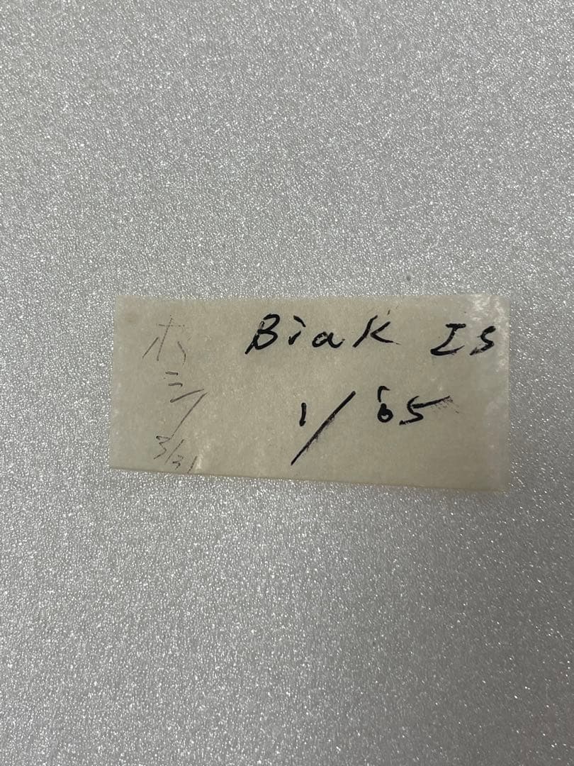 【1ペア】ミドリメガネトリバネアゲハ（インドネシア・ビアク島）