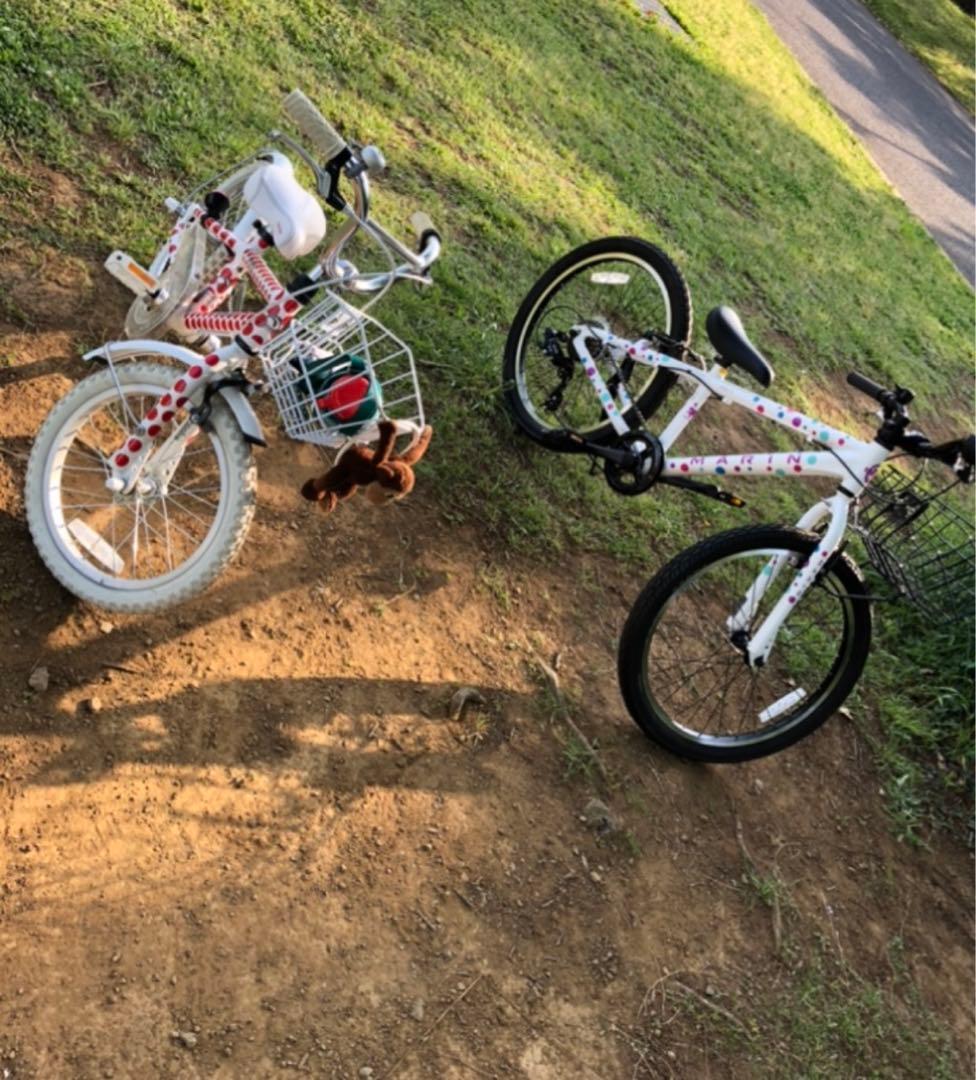 【引取限定】アルコバ　16インチ　キッズ　自転車