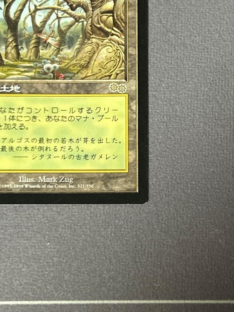 ガイアの揺籃の地 2枚 日本語版 英語版 MTG