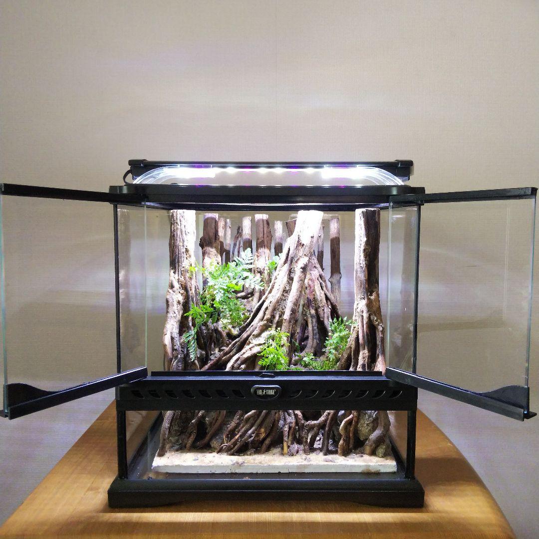 【受注生産】グラステラリウム3030　イモリウム　苔テラリウム　アクアテラリウム