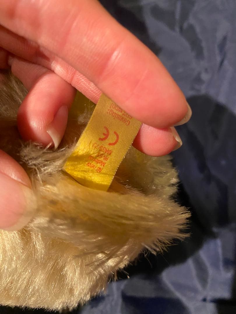 シュタイフ　ビッグ　テディベア