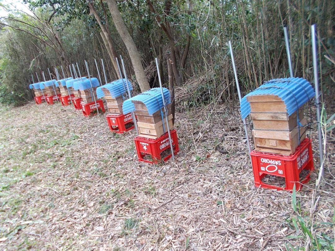 ★日本蜜蜂・非加熱・生ハチミツ・はちみつ・1Ｋ★