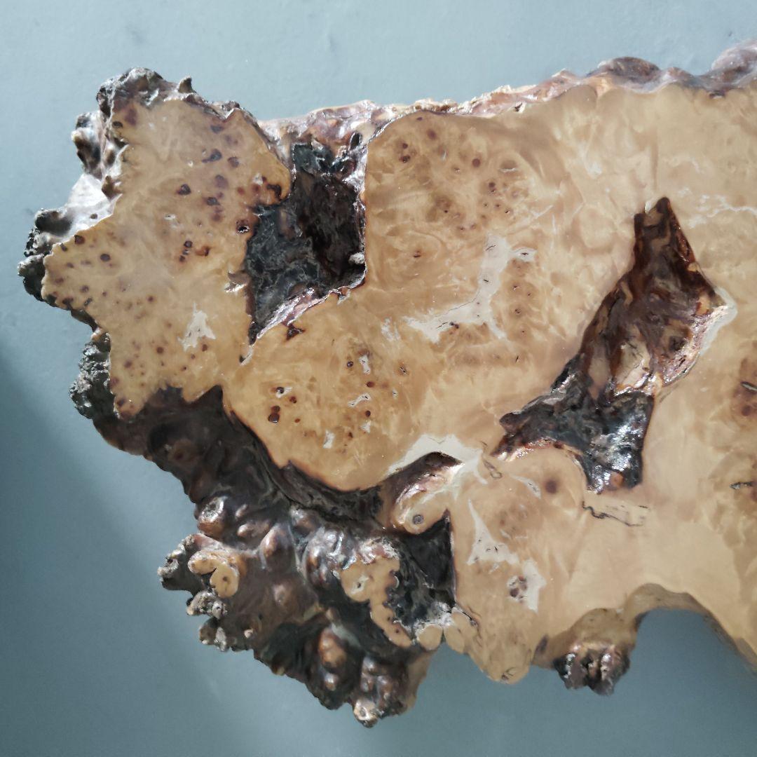 天然木一枚板 瘤台 花台 盆栽台 置き台 飾り台 こぶ 侘び寂び