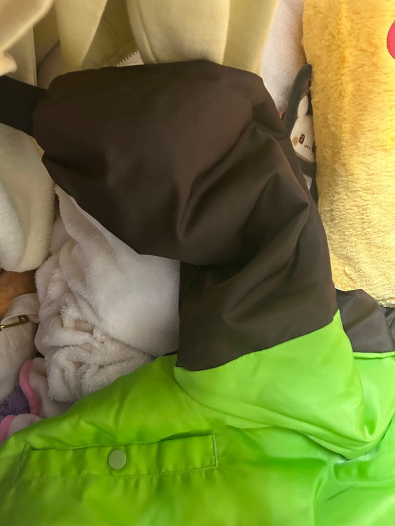 MZ団の ブルゾン服 ポケモンレジェンズZA