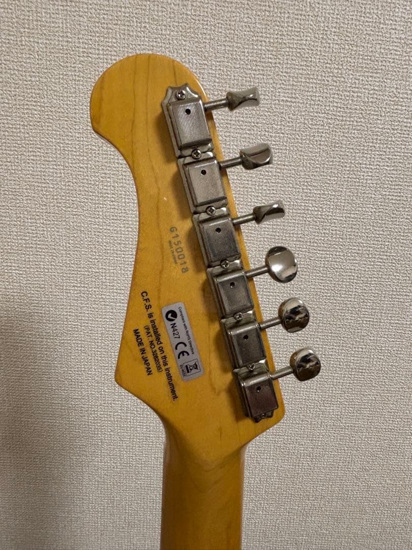 フジゲン　fujigen（FGN） SNST101【限定生産品】