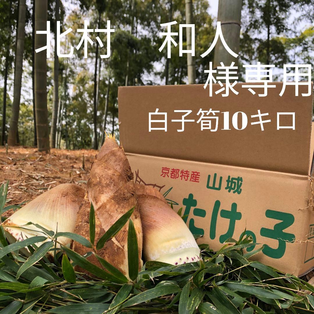 北村 和人 白子筍 10キロ