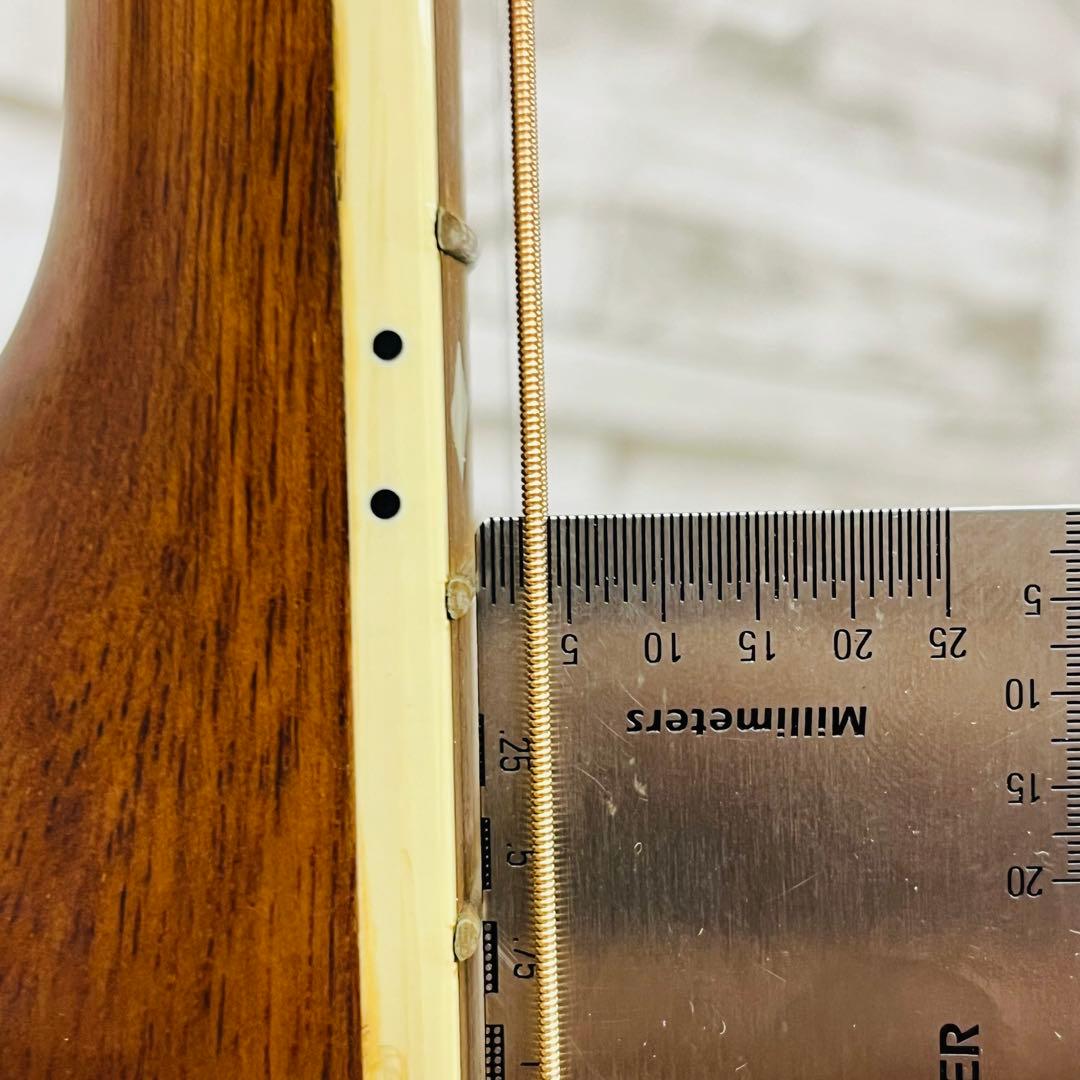 Pro Session エレアコ