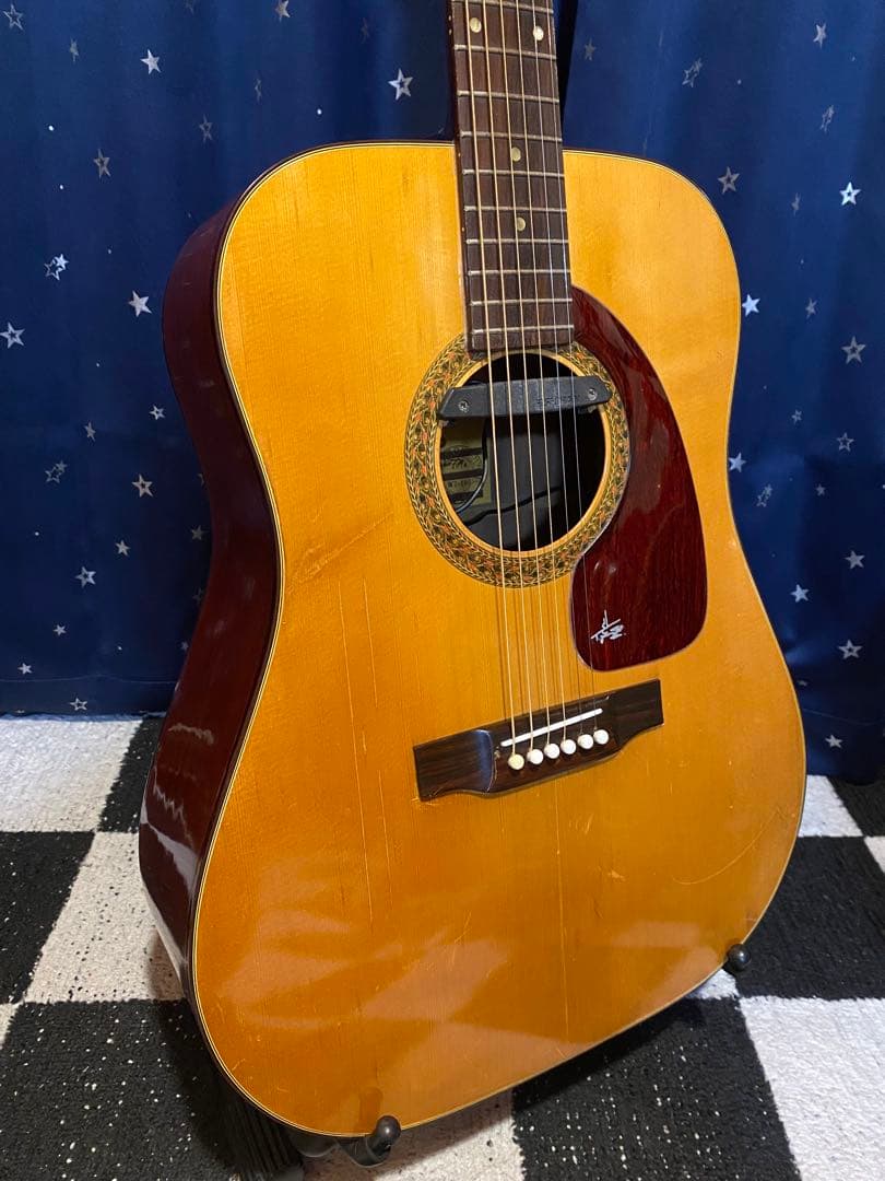 Takeharu Guitar WT150 (エレアコ仕様)