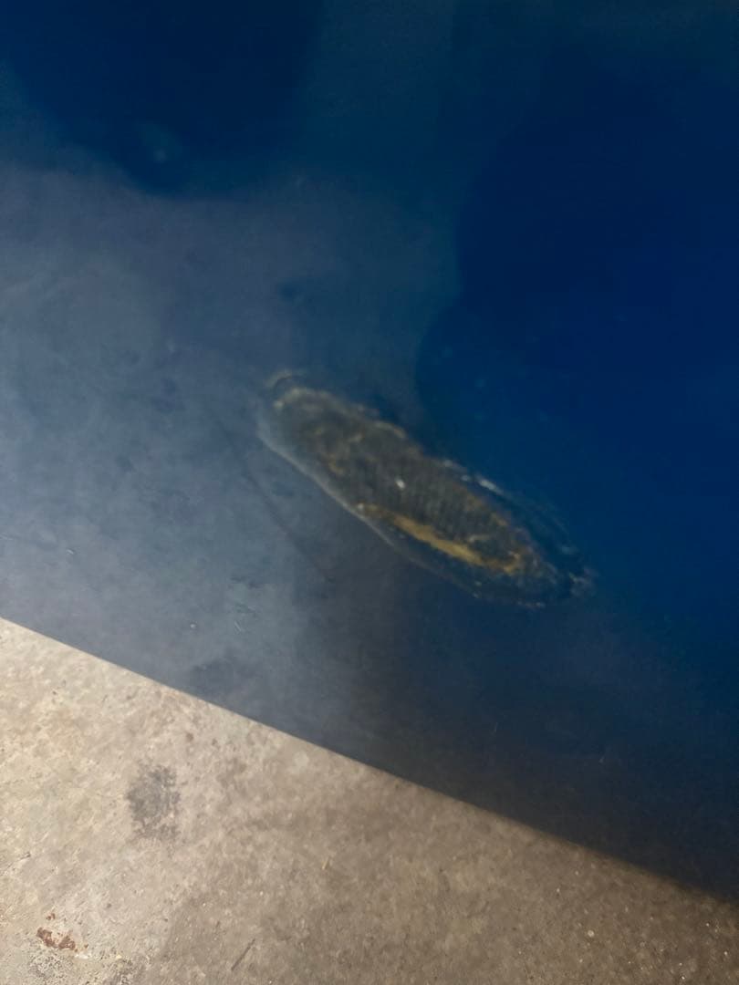 【カバー有‼️】NO BRAND ロングボード