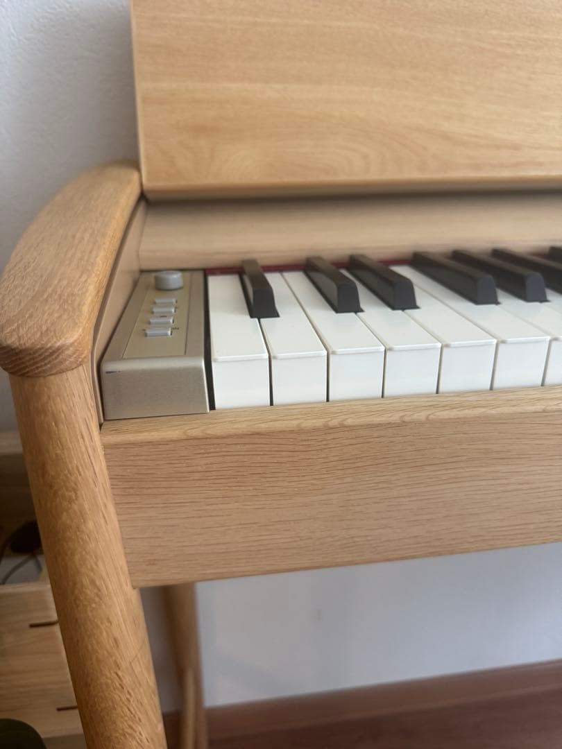 SAKI ⭐︎Roland KF-10