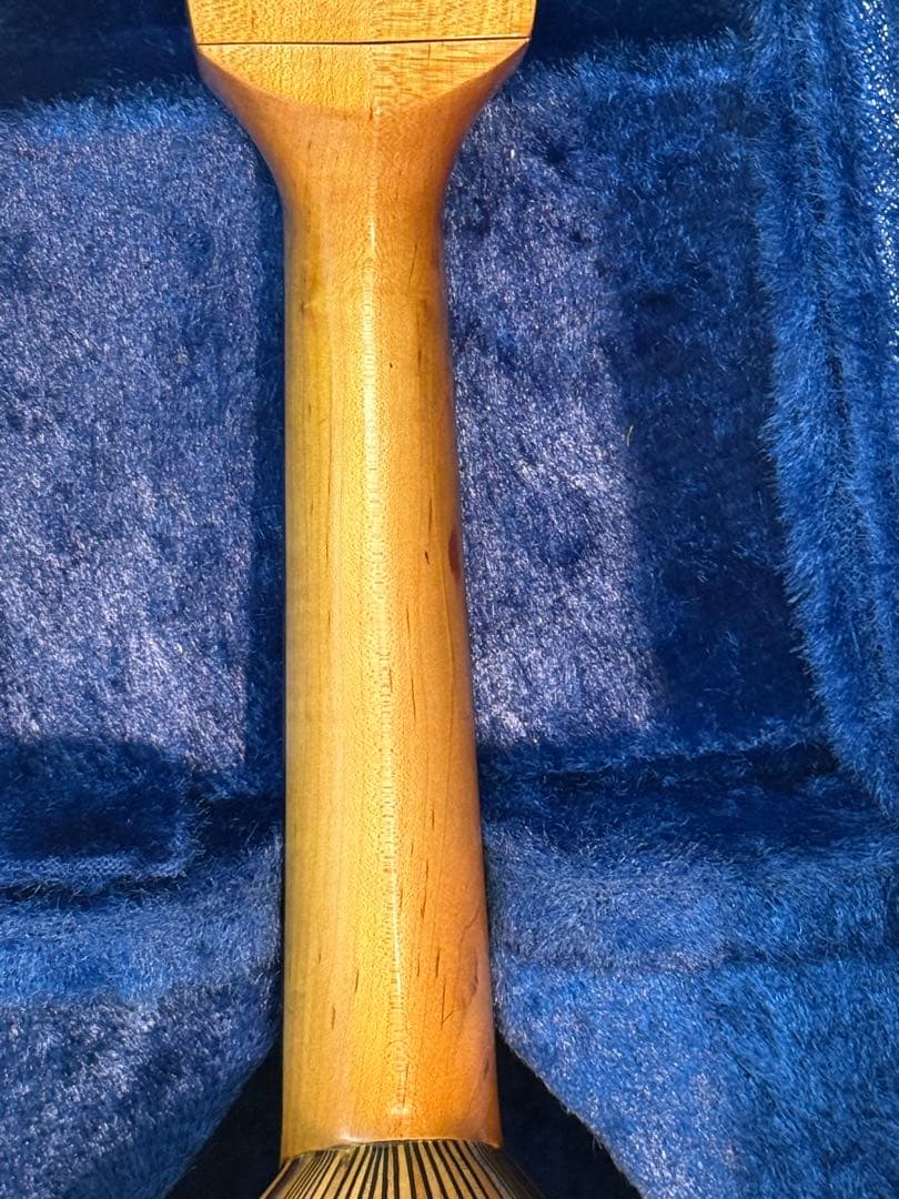 マンドリンSUZUKI M-100 ケースとセット