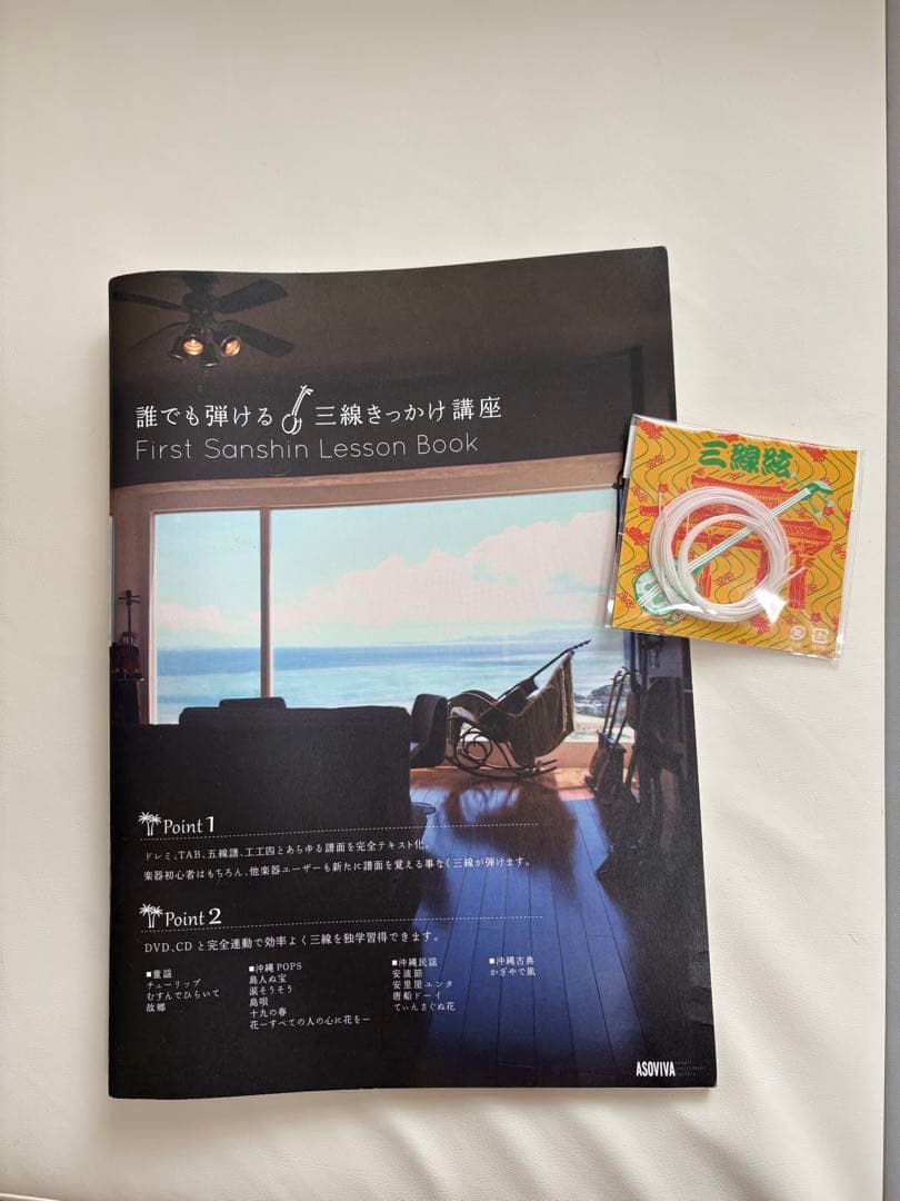 三線本体 ヘビ革模様 ケース付き