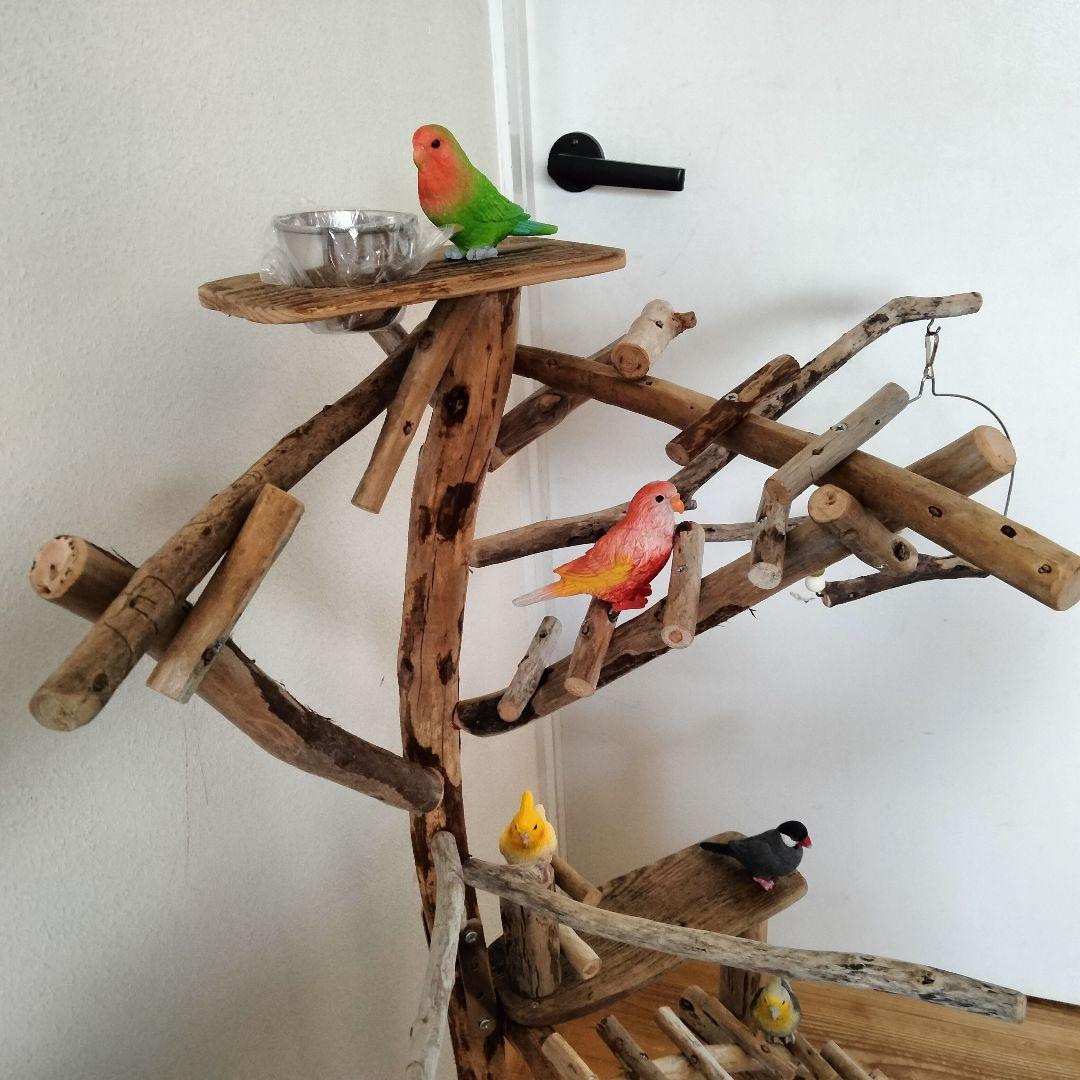 バードアスレチックジム㊻ 天然木 自然木 流木 止まり木 インコ