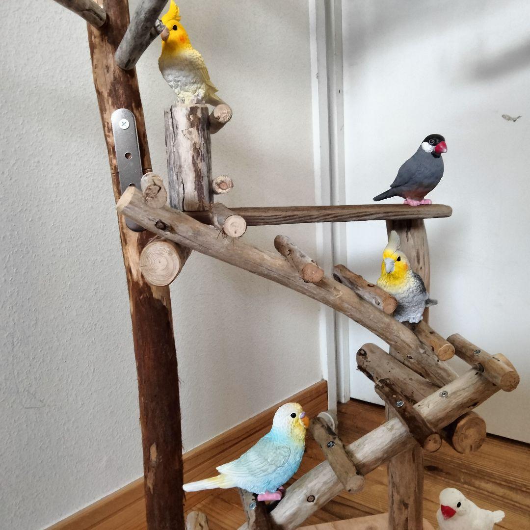 バードアスレチックジム㊻ 天然木 自然木 流木 止まり木 インコ
