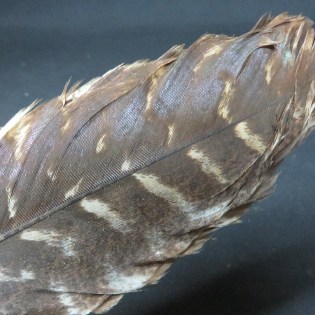 羽箒 2ケ 羽根 茶道具 茶器 茶会 茶の湯