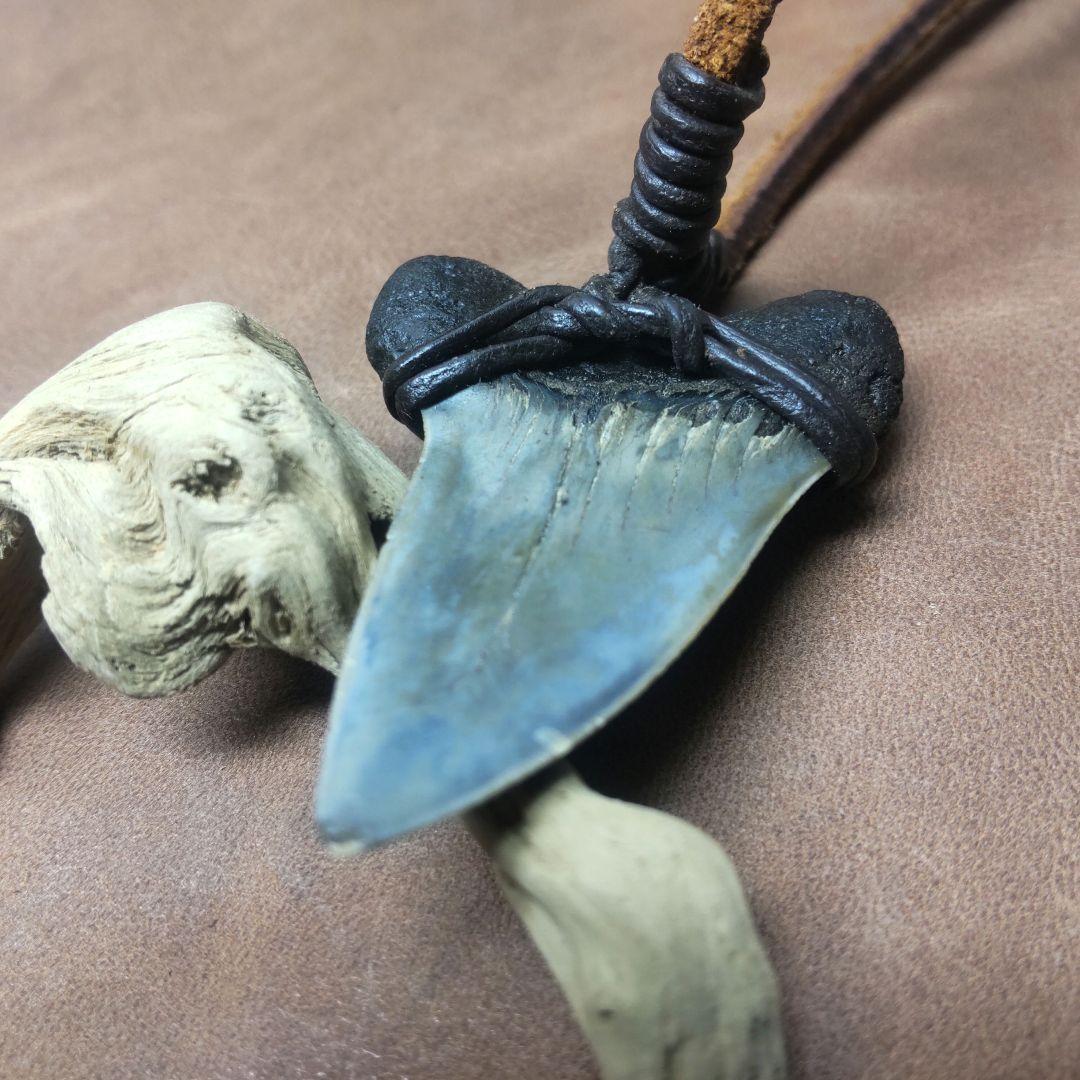 ③Isurs hastalis 化石　鮫の歯　メガロドン　三葉虫　希少