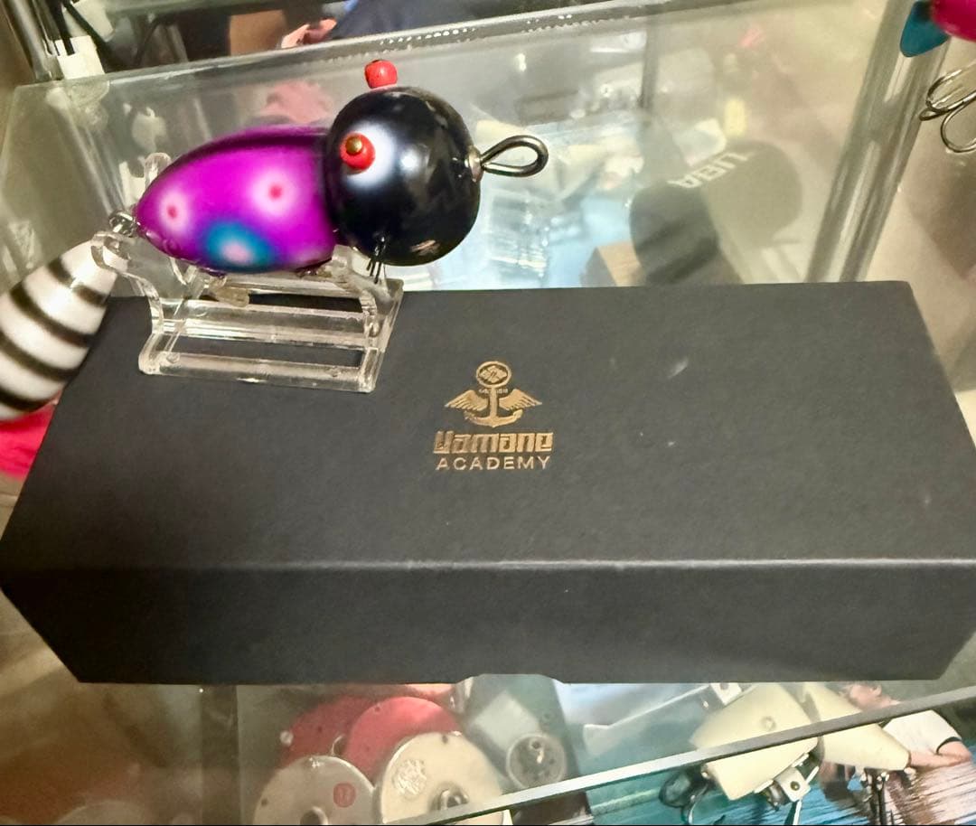 道楽 DOWLUCK A君じゃないよ どくいちご