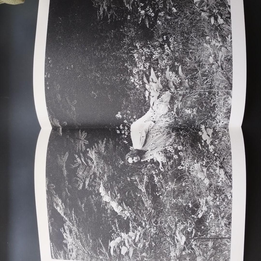 沢渡朔 署名入り　500部限定　NADIA WITH WHITE ナディア　☆