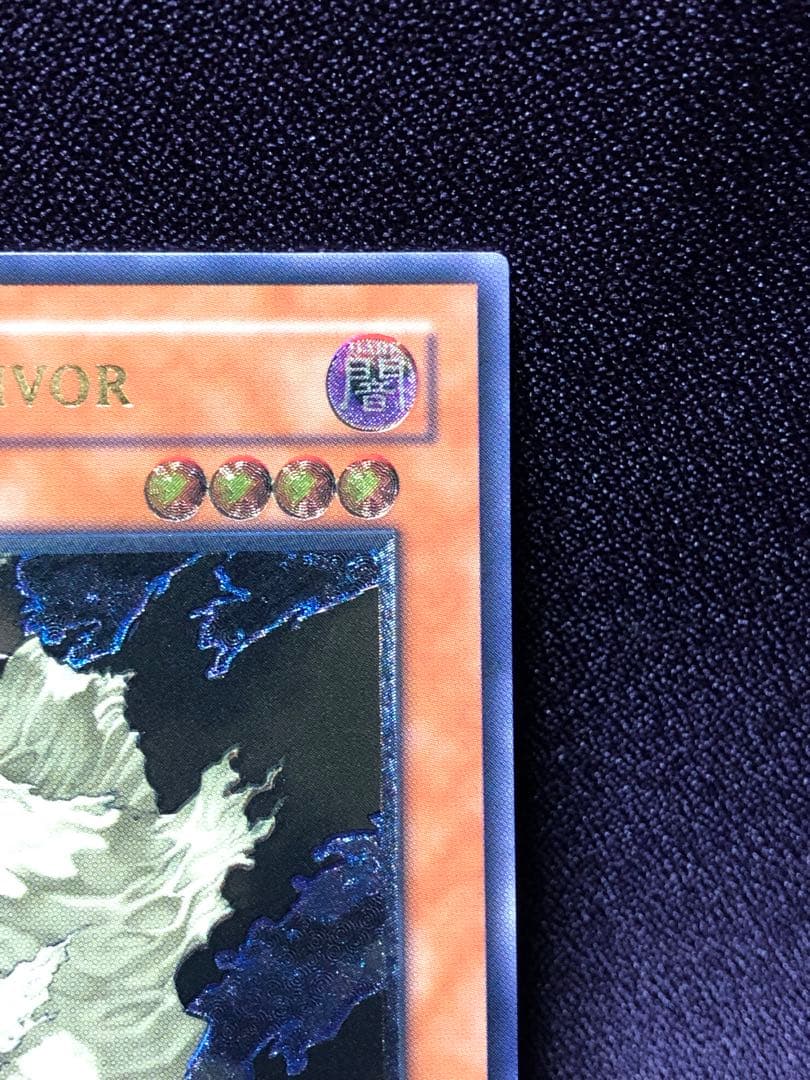 D.D. SURVIVOR 英語 旧アジア レリーフ