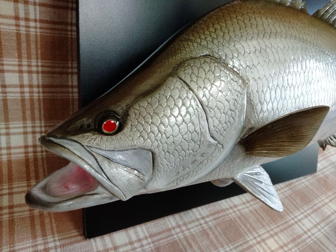 ハンドメイド　50cmアカメ壁掛け　フィギュア　レプリカ　オブジェ　怪魚釣り