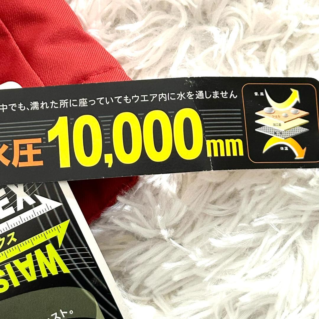 新品　PHENIX フェニックス スキーウェア スノーボードウェア M