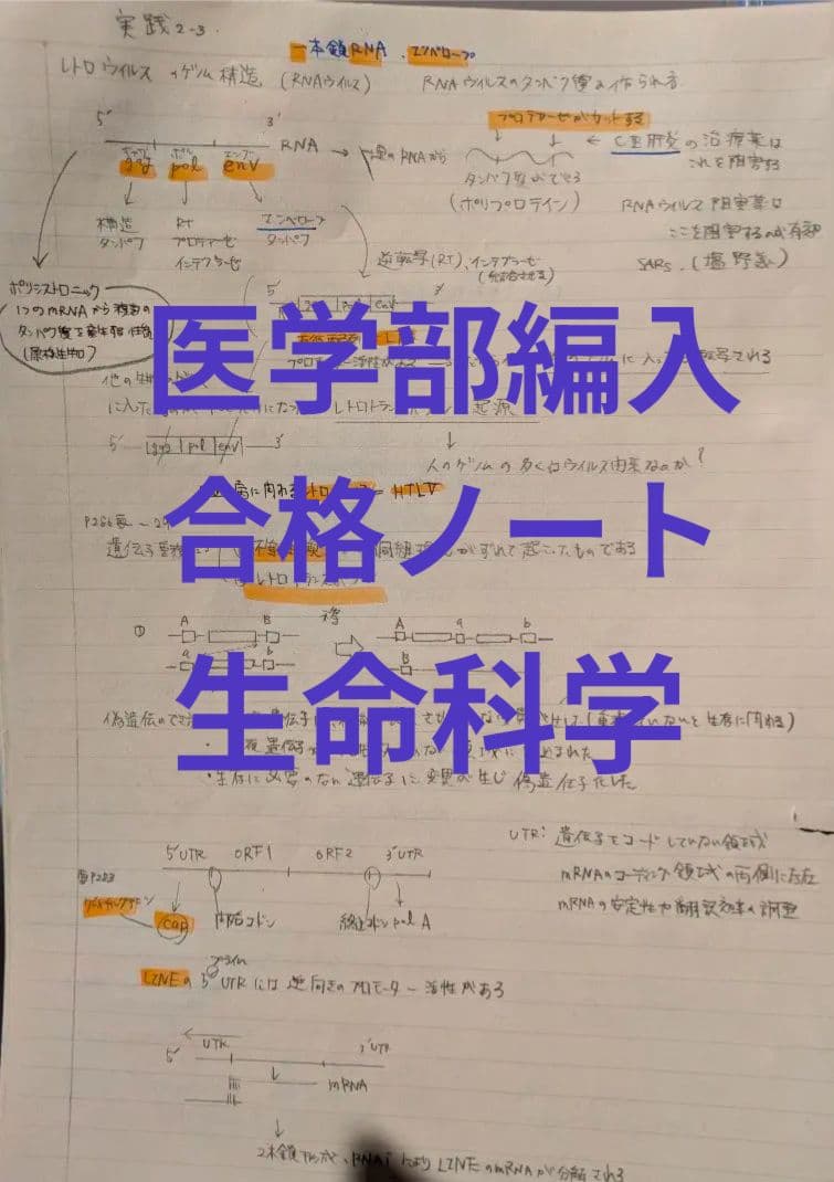 KALS　生命科学合格ノート　板書ノートコピー