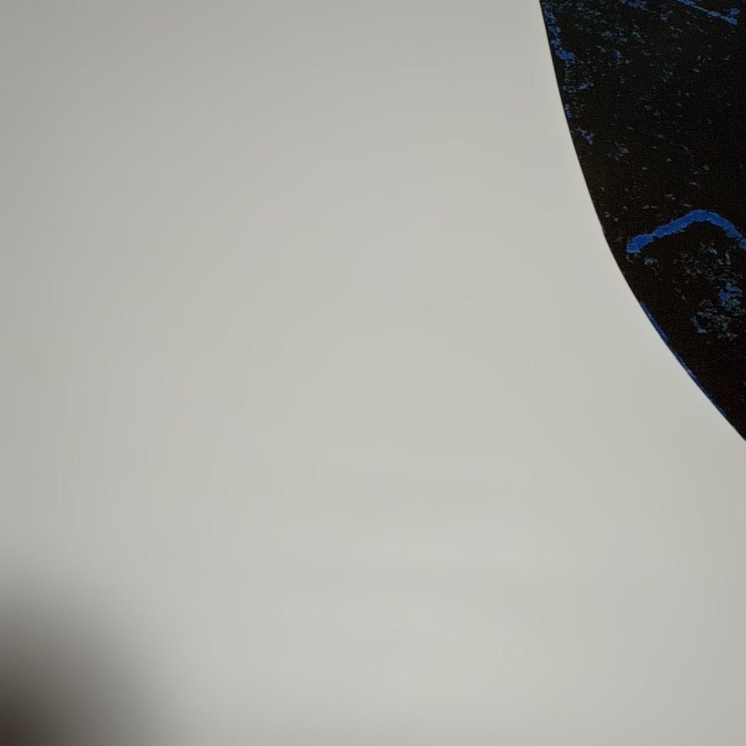 氷室京介　TOUR1994「SHAKE THE FAKE」ポスター