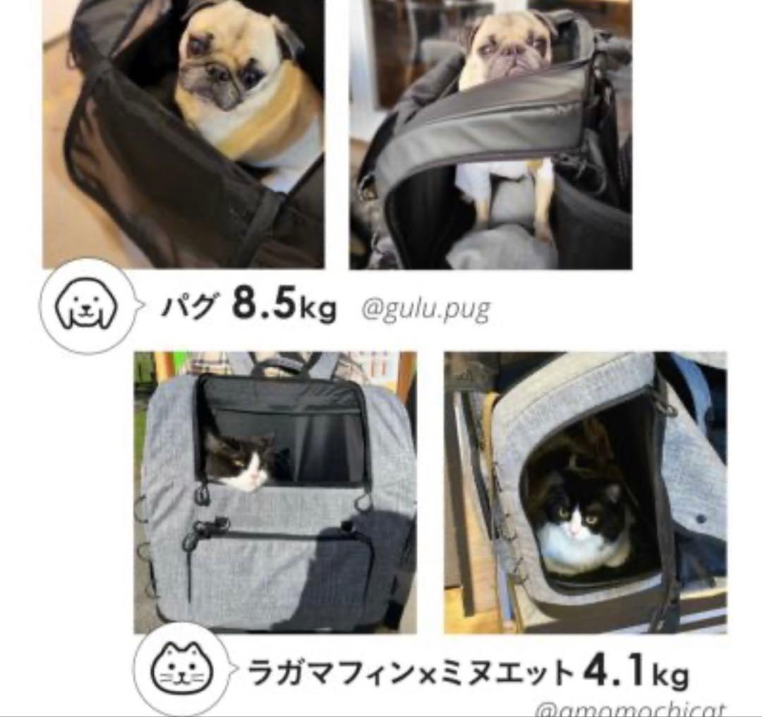 エアバギー AIRBUGGY3wayバックパックキャリー 耐荷重15kgワイド