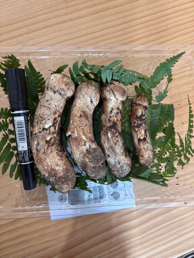 岩手県産松茸 216g 本日の10時までのご購入で本日発送